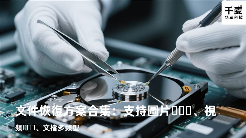 文件恢復方案合集：支持圖片、視頻、文檔多類型 